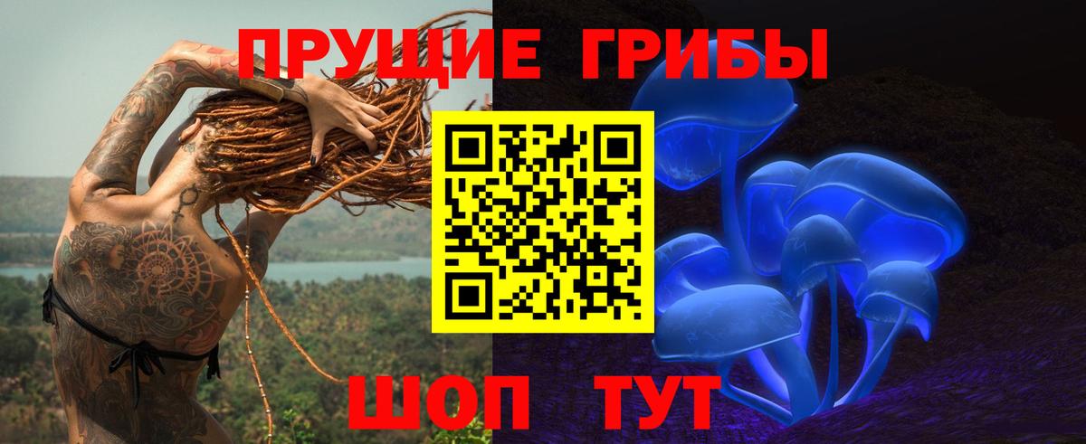 Аша  Псилоцибиновые грибы GOLDEN TEACHER  купить наркотик  Вход с VPN 